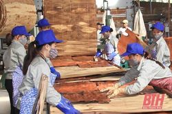 Quan tâm tạo động lực phát triển kinh tế - xã hội khu vực miền núi