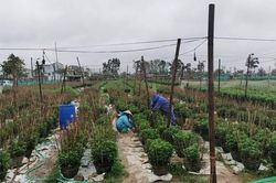 Lai Châu: Nỗ lực giảm nghèo