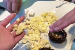 Du khách tung video tố nhà hàng Trung Quốc phục vụ món nhím biển giả