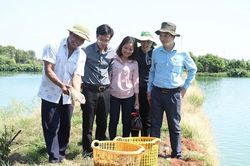 Quy hoạch trong nông nghiệp: Hướng đến sản xuất bền vững