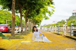Thành Vinh nắng trộn sắc vàng hoa giáng hương ngày giao mùa