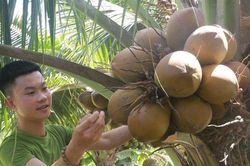 Nghị lực vượt khó phi thường của chàng thanh niên 22 tuổi