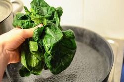 Đậy vung khi luộc rau khiến rau mất dinh dưỡng, chất độc ngấm ngược trở lại