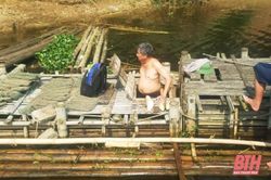 Sở NN&PTNT chỉ đạo ứng phó với tình trạng cá chết trên sông Mã đoạn qua huyện Cẩm Thủy