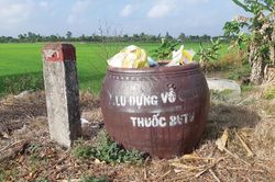 Thu gom, vận chuyển và xử lý bao gói thuốc bảo vệ thực vật