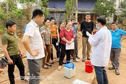 Nguy cơ lây lan bệnh viêm da nổi cục ở trâu, bò