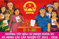 Tránh tối đa danh sách cử tri ảo