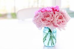 Tử vi ngày 16/4/2021 của 12 cung hoàng đạo: Xử Nữ lạc quan