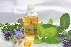 Bí quyết khử mùi hôi trong nhà vệ sinh không cần dùng hóa chất