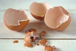 Mẹo hay với vỏ trứng, nhiều người vẫn thẳng tay ném vào thùng rác mà không biết
