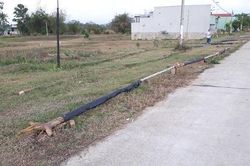 An Khê (Gia Lai): Cây xanh đô thị chết nhiều, nghĩa trang bị lấn chiếm