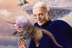 Gentle Monster bán kính tí hon chỉ đặt được trên mũi