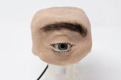 Công dụng của mẫu webcam rùng rợn hình mắt người