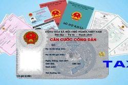 Không xử phạt việc chậm thay đổi thông tin đăng ký thuế khi làm mới căn cước công dân gắn chíp