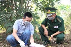Hai đối tượng vứt 12.000 viên ma túy rồi bỏ trốn qua biên giới