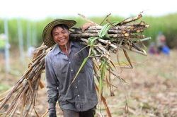 Đường Thái 'nghẽn' lối vào Việt Nam