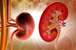 Dấu hiệu cảnh báo thận đang nhiễm độc nặng, nguy hiểm nhất là số 3
