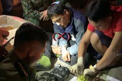 Chặn đứng vụ vận chuyển 11kg ma túy vào Nam tiêu thụ