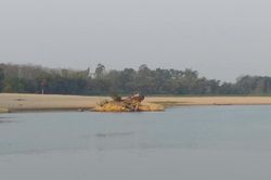 Bé trai gần 3 tuổi đuối nước thương tâm trên sông Lam