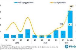 Thị trường tăng, tiền mới nhiều, doanh nghiệp tranh thủ huy động vốn khủng