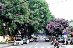 'Chiếc áo xanh' cho Phố núi