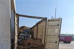 Dùng gỗ dăm ngụy trang cho mặt hàng nghi là than đá để xuất khẩu sang Lào