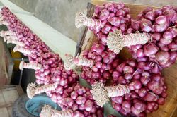 Vì sao Sóc Trăng phải 2 lần vận động 'giải cứu' hành tím?