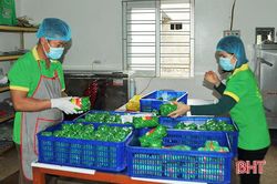Các địa phương Hà Tĩnh đăng ký gần 200 ý tưởng sản phẩm OCOP năm 2021