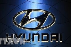 Hyundai Motor lại tạm ngừng hoạt động tại một nhà máy nội địa