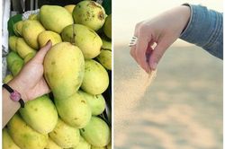 Mỗi lần gửi hoa quả mẹ chồng đều bỏ kèm ít cát, con dâu 'ngã ngửa' khi phát hiện bí mật phía sau