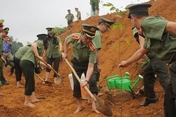 Cục An ninh Chính trị Nội bộ trồng 1000 cây sao đen tại Phú Thọ