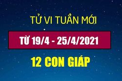 Dự đoán 12 con giáp tuần 19/4 - 25/4: Tý kinh doanh thuận lợi, Dậu nhận thưởng