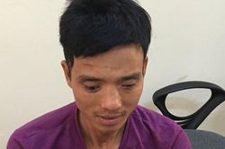 Công an Hải Phòng bắt giữ đối tượng phá hoại hàng trăm ngôi mộ