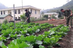 Ðảng viên đồn biên phòng phụ trách hộ gia đình ở Thanh Hóa