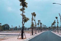 Quay cuồng cơn sốt đất, nghề môi giới 'lên ngôi'