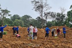 Trồng hơn 3.000 cây xanh tại các điểm sạt lở Vườn quốc gia Phong Nha – Kẻ Bàng