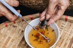 'Hét giá' tới 3,5 triệu đồng/kg, nhiều người vẫn sẵn sàng bỏ tiền mua cà cuống