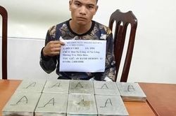 Bị bắt khi đang vận chuyển 9 bánh heroin từ Điện Biên về Bắc Ninh tiêu thụ