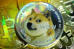 Mua 1.000 USD Dogecoin đầu năm, nhận 68.500 USD hiện tại