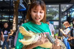 Quán cà phê cho khách chụp hình cùng rồng Nam Mỹ, cá sấu ở TP.HCM