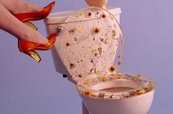 Bạn có sẵn sàng bỏ 5 triệu để sở hữu chiếc nắp bồn cầu 'nở hoa'?