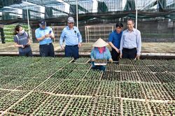 Gia tăng thu nhập trên 300.000 ha đất nông nghiệp