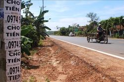 Treo quảng cáo ở cột điện có thể bị phạt đến 2 triệu đồng