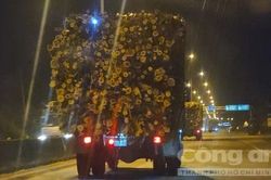 Khiếp sợ những 'hung thần' chở gỗ, dăm ở Quảng Ngãi, Quảng Nam