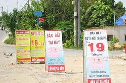 Ngăn chặn 'sốt đất', HoREA đề xuất một loạt các loại thuế