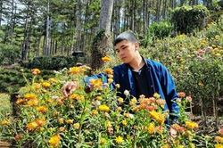 Hấp dẫn rừng hoa bất tử tại Đà Lạt