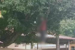 Hòa Bình: Tá hỏa phát hiện thi thể người đàn ông treo cổ trên cây