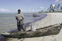 Tổ chức phi chính phủ Friends of the Earth kiện chính phủ Anh vì hỗ trợ Mozambique LNG