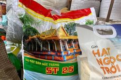 Vẫn còn khả năng lấy lại thương hiệu gạo ST25