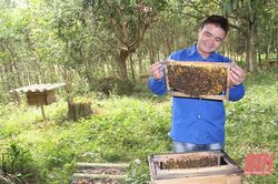 Xã Xuân Thái phát triển kinh tế đồi, rừng